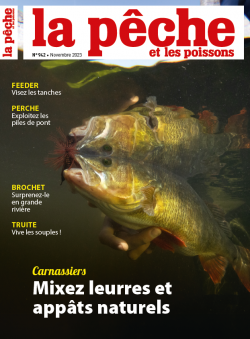 Poisson d'exception : une carpe record de 42,2 kg pêchée en France